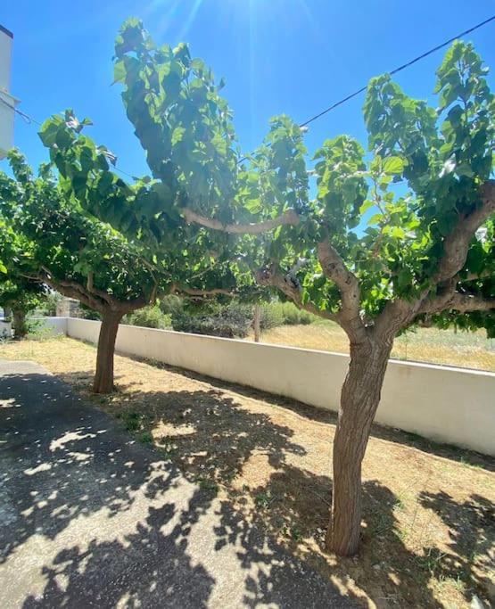 Τέσσερις Εποχές Apartment Aetos  Exterior photo